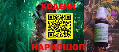 индика Гусев