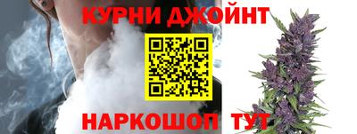индика Гусев