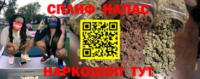 индика Гусев