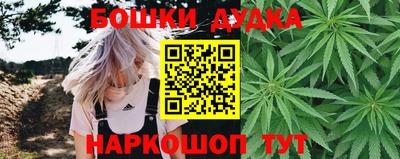 индика Гусев