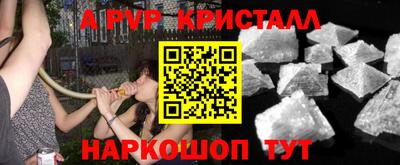индика Гусев