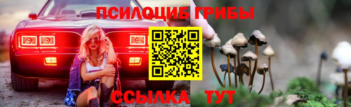 Галлюциногенные грибы мухоморы Отрадное
